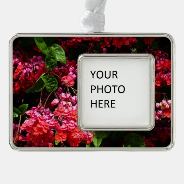 Pagode Blume farbenfroh rot und rosa Rahmen-Ornament Silber (Vorderseite)