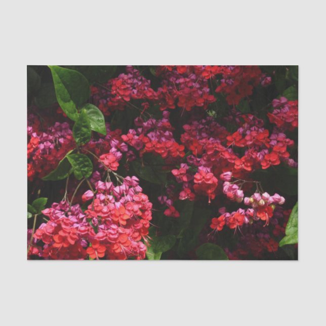 Pagode Blume farbenfroh rot und rosa Seidenpapier (Vorderseite)