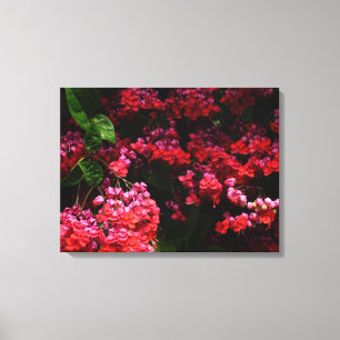 Pagodenblumen Bunt Rot und Rosa Leinwanddruck