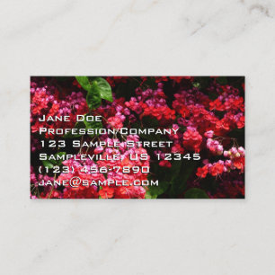 Pagodenblumen Farbige Rot und Pink Visitenkarte