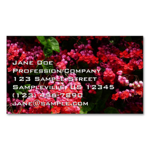 Pagodenblumen Farbige Rote und Rosa Magnetische Visitenkarte