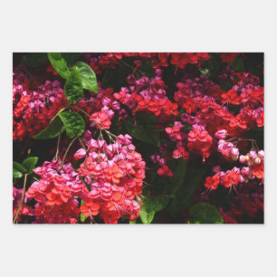 Pagodenblumen Farbige rote und rosa Töne Geschenkpapier Set