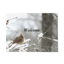 Accueil d'hiver