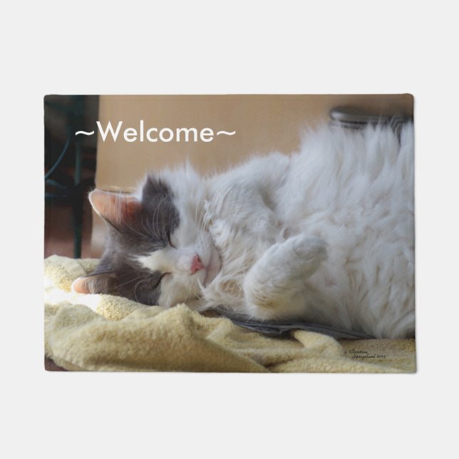 Paillasson Accueil mignon de sommeil Spiegeland de chat (Devant)