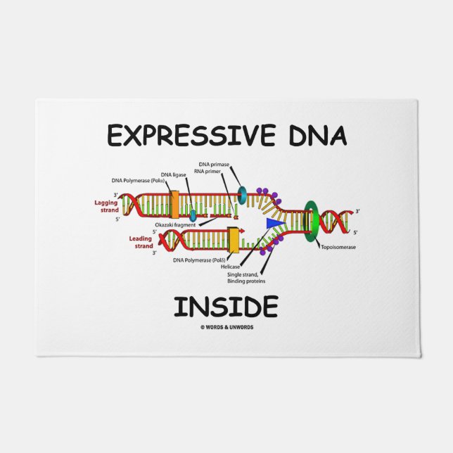 Paillasson ADN expressif dans le Humour de biologie moléculai (Devant)