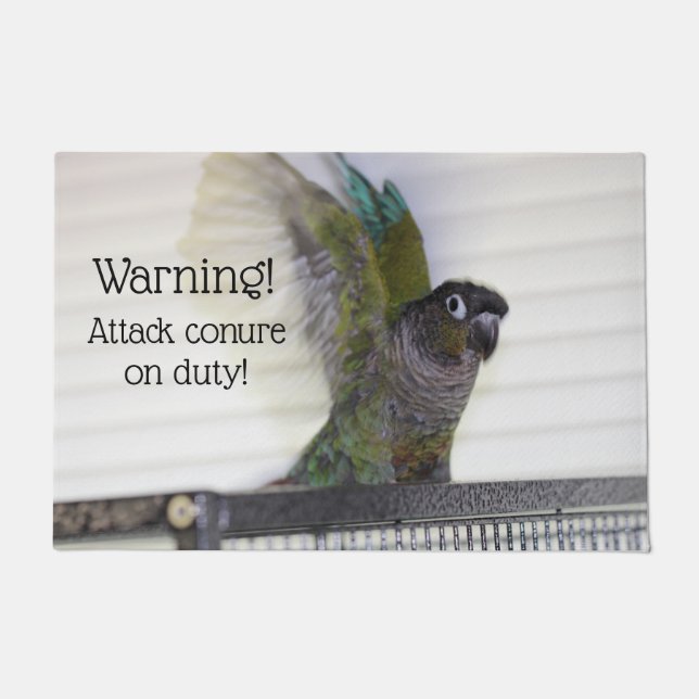 Paillasson Aile Ding (Devant)