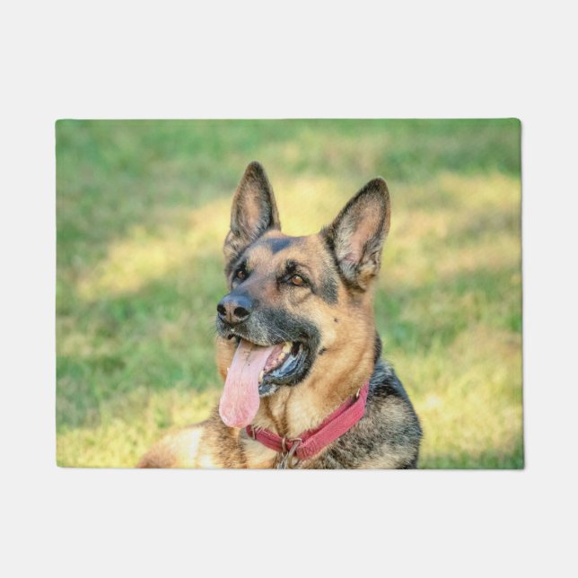 Paillasson Allemand Shepard (Devant)
