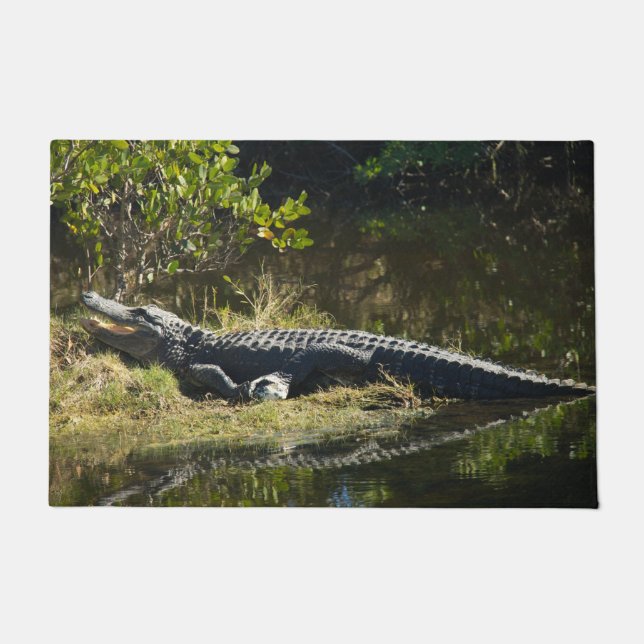 Paillasson Alligator se faisant chauffer au soleil sur la riv (Devant)