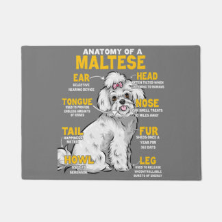 Paillasson anatomie d'un amoureux des chiens maltais