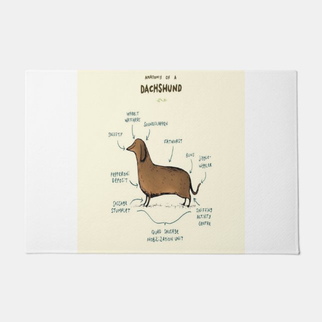 Paillasson Anatomie D'Un Dachshund| Amoureux de les chiens de (Devant)