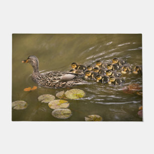 Paillasson Animal - Canards - Nager comme un canard