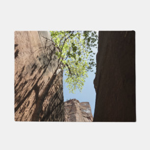 Paillasson Arbre poussant entre les rochers à Zion National P