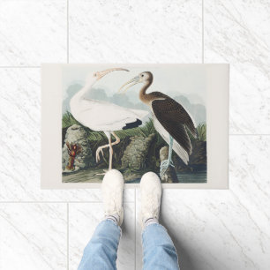 Paillasson Art de la nature de l'Ibis blanc d'Audubon vintage