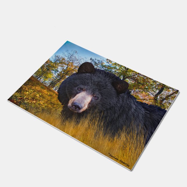 Paillasson "Baloo l'ours" (Incliné)