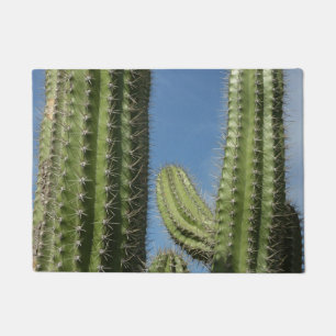 Paillasson Barrel Cactus I Desert Photo