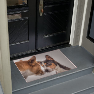 Paillasson Basenji et Ami