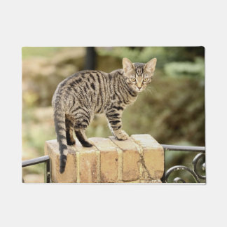 Paillasson Beau gris noir Bengale Kitten