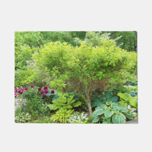 Paillasson Beau jardin paysager vert avec hostas