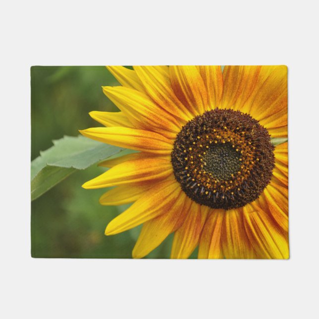Paillasson Beauté des tournesols (Devant)