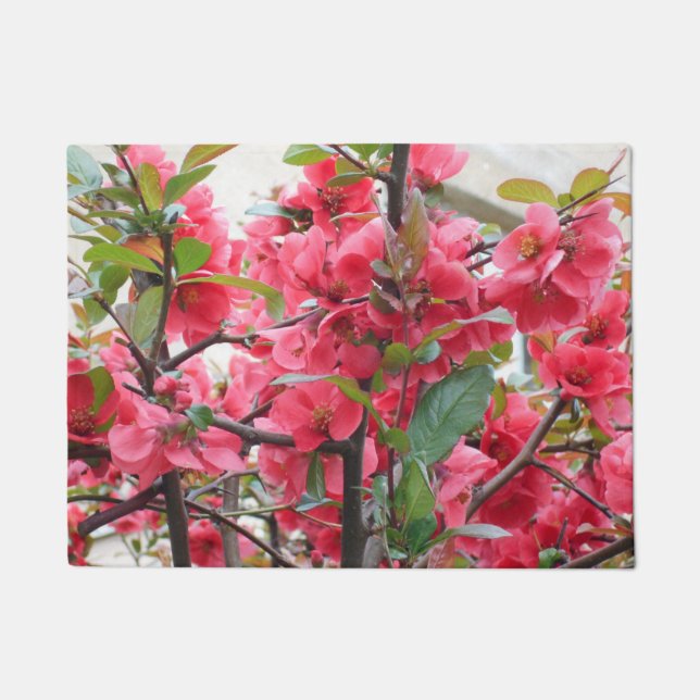 Paillasson Belle coince rouge japonaise (Devant)