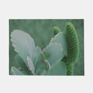 Paillasson Belle photo d'art Plante du désert