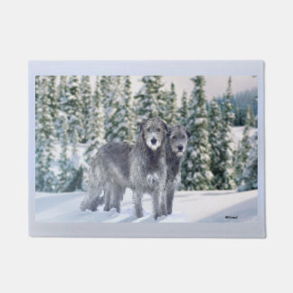 Paillasson Belle scène de Wolfhound irlandais neige