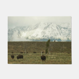 Paillasson Bison à Grand Teton National Park Photographie