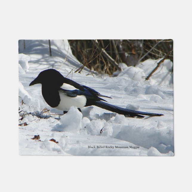 Paillasson Black Billed Rocky Mountain Magpie mat porte (Devant)