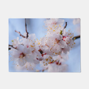 Paillasson Blossom des abricots japonais