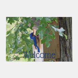 Paillasson Bluebird à la maison