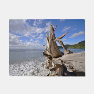 Paillasson Bois de flottage sur Shoreline de plage française