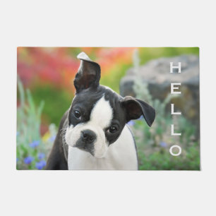 Paillasson Boston Terrier Dog Cute Puppy Animal Head - Bonjou