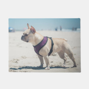 Paillasson Bouledogue français sur la plage