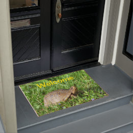 Paillasson Box Turtle Doormat
