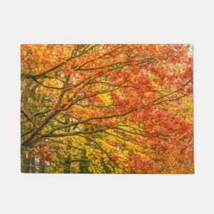 Paillasson Branches d'arbres de Letchworth Orange Nature