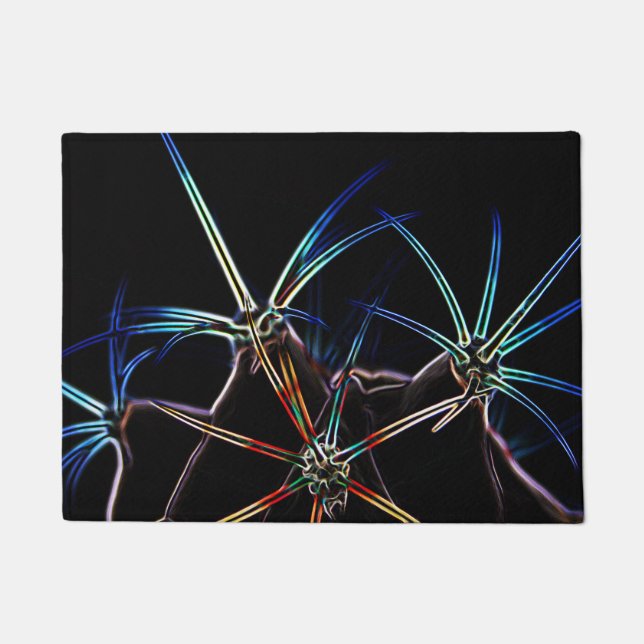 Paillasson Cactus 1 dmcna (Devant)