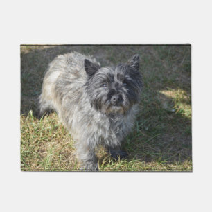 Paillasson Cairn Terrier noir