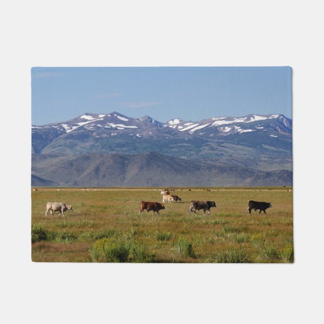 Paillasson California HWY 395 Paysage (Devant)