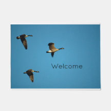 Canadian geese