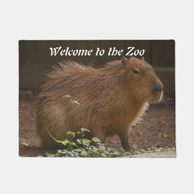 Paillasson Capybara (Devant)
