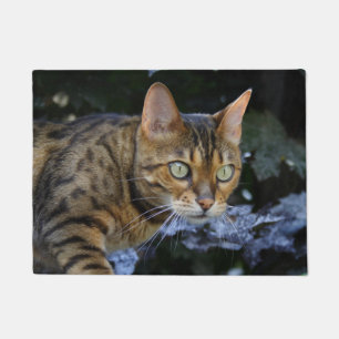 Paillasson Cat du Bengale