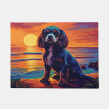 Cavalier King Charles Spaniel Coucher / Lever de s
