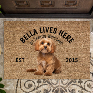 Paillasson Cavoodle Porte Amoureux des chiens personnalisé