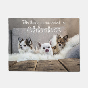 Paillasson Cette Maison Est Protégée Par Chihuahuas Doormat