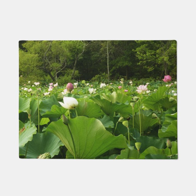 Paillasson Champ de fleurs de Lotus Jardin d'été (Devant)