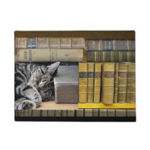 Chat de livre de bibliothèque de sommeil