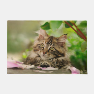 Paillasson Chaton mignon de ragondin du Maine
