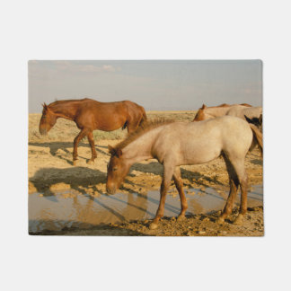 Paillasson Chevaux à la recherche d'eau