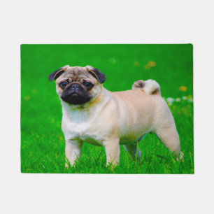 Paillasson Chien Carlin.