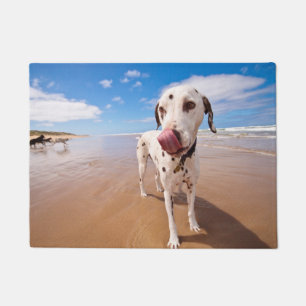 Paillasson Chien dalmatien sur la plage